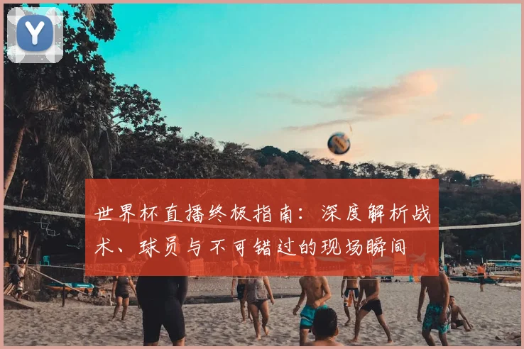 世界杯直播终极指南：深度解析战术、球员与不可错过的现场瞬间