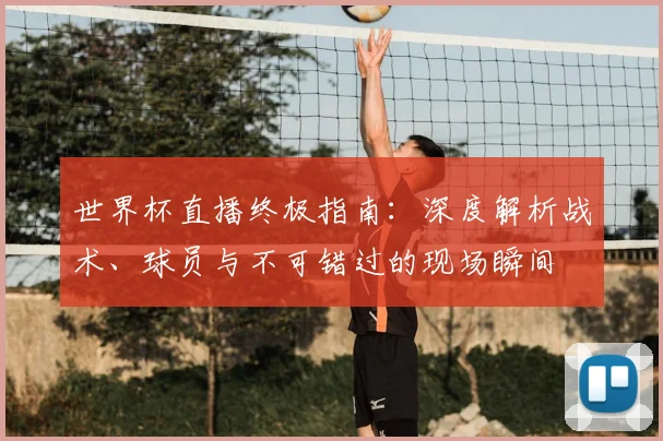 世界杯直播终极指南：深度解析战术、球员与不可错过的现场瞬间