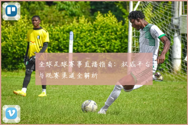 全球足球赛事直播指南：权威平台与观赛渠道全解析